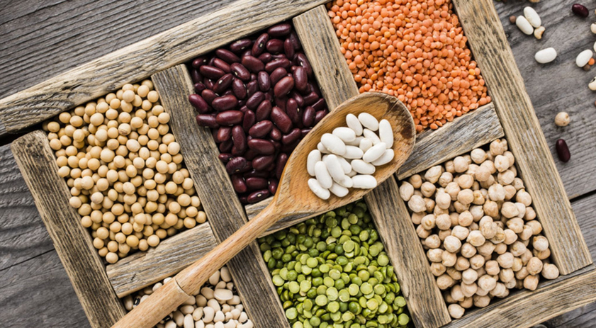 Alimentos ricos en proteínas vegetales: qué son y cómo disfrutarlos