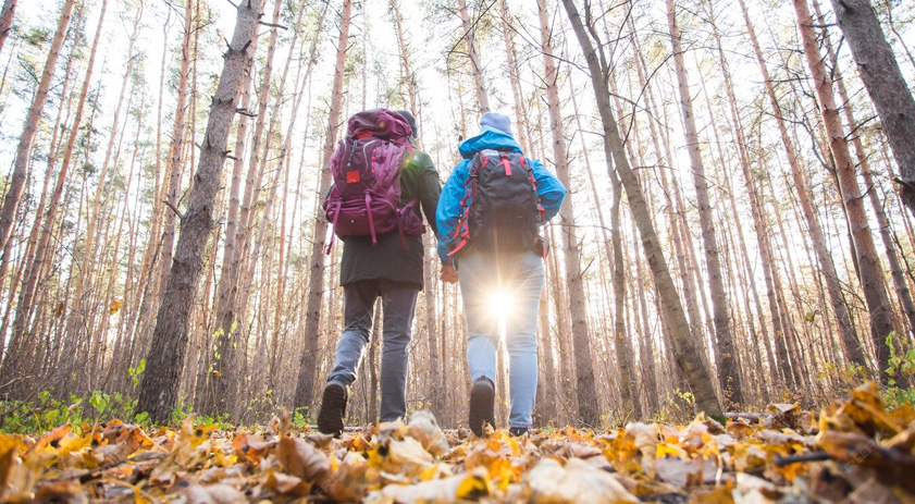 Senderismo: el deporte de montaña que conecta cuerpo y mente con la naturaleza
