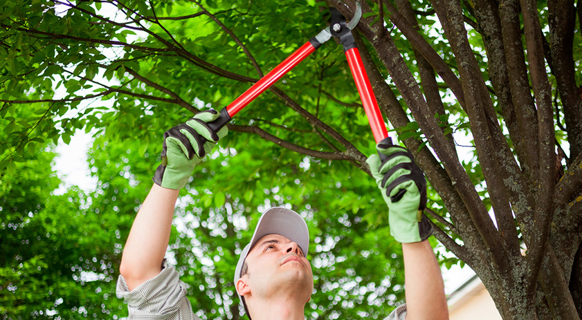 Técnicas correctas para realizar cortes seguros y eficientes Técnicas correctas para realizar cortes seguros y eficientes