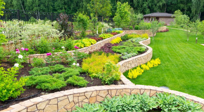 Estructura visual y composición del espacio